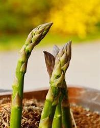 Did You Ever Wonder?