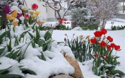 Just Around the Bend