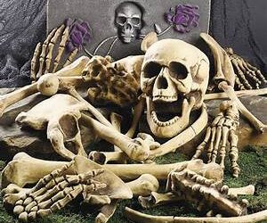 Bones